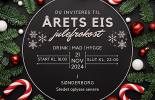 EIS Julefrokost 2024